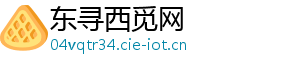 东寻西觅网